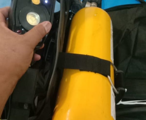 Expert LSA-FFA/FFE Services Since 2005